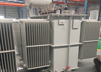 富裕5000kVA油浸式电力变压器